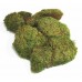 MOOD MOSS (BULK)